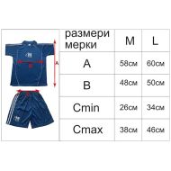 Football / volleyball / handball kit with back numbers set of 12 pieces - Blue and White, MAXIMA /400105/