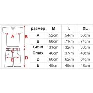 Football / Volleyball / Handball kit (shirt and shorts) MAXIMA, Dark Blue with Light Blue stripes, size M /40066401/