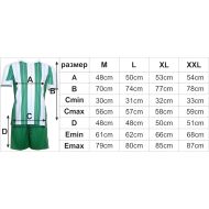 Football / volleyball / handball kit, jersey with shorts - Green with White, MAXIMA, M /40017001/