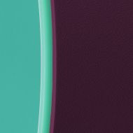 Yoga wheel MAXIMA, Ø32.5 x 12.5 cm, Purple/green /30002704/