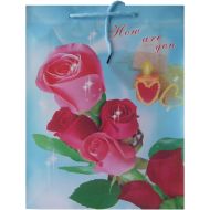 Gift bag with color print /140808/