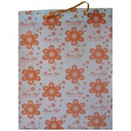 Gift bag with color print /140808/