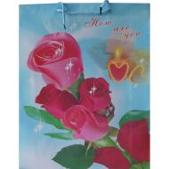 Gift bag with color print /140806/