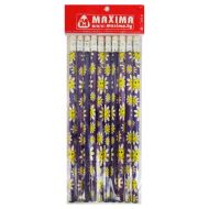 Graphite pencils HB with eraser, set of 10 with pictures /120001/
